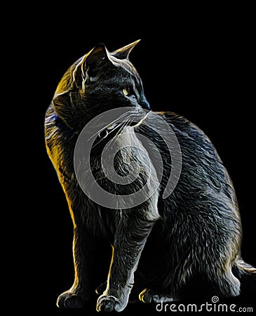 Russian Blue Cat Sitting Up Portrait Stock Photo