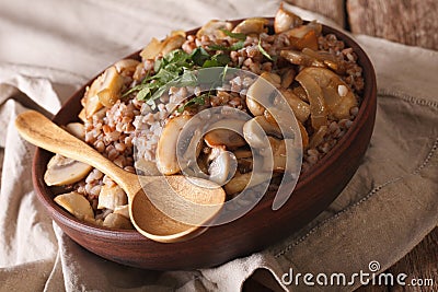 Russian cuisine: buckwheat porridge with mushrooms close-up. horizontal Stock Photo