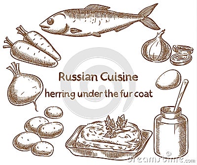 Russian cuisine. Herring under a fur coat, ingredients, vector s Vector Illustration