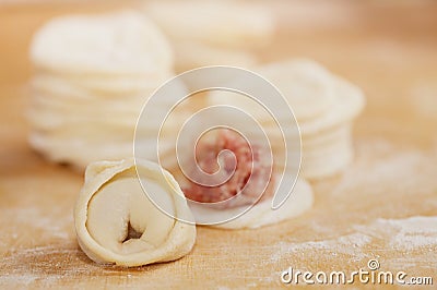 Russian dumplings, meat wrapped with pastry. Stock Photo
