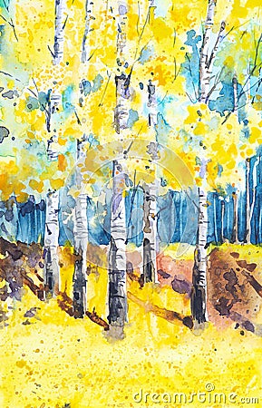 Russian forest landscape with beautiful birches in a clearing. Watercolor illustration Cartoon Illustration