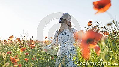 A Russian girl with a blue wreath of cornflowers poses in a field of poppies. Stock Photo