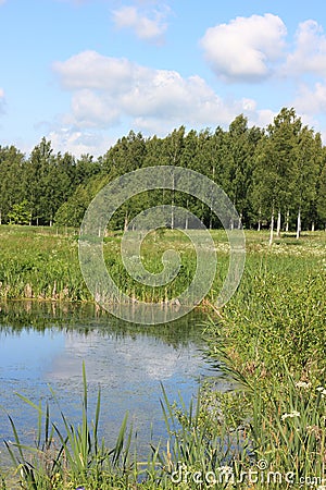 Russian landscape Stock Photo