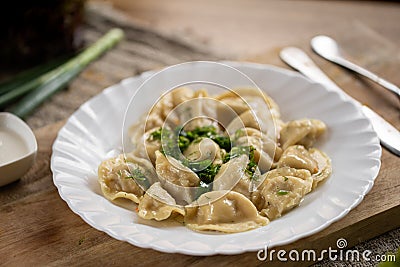 Russian National food. Top view of traditional belorussian meal. Dumplings in white plate with green and sour. Food concept Stock Photo