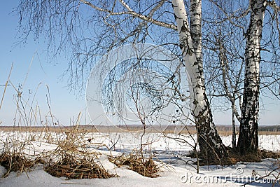 Russian nature Stock Photo