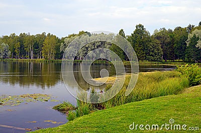 Russian nature in spring Stock Photo