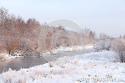 Russian nature in winter, beautiful Christmas background. After a snowfall, tree branches are covered with snow and sparkle in the Stock Photo