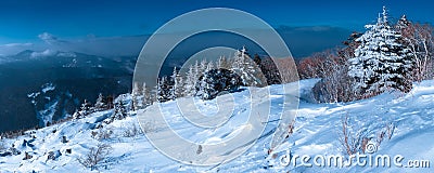 Russian snow trees Stock Photo