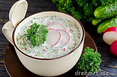 Russian spring and summer cold soup with kefir Stock Photo