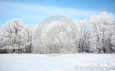 Russian winter in January Stock Photo