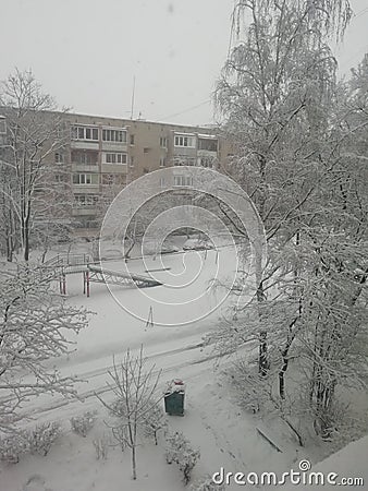 Russian winter, weather beautiful Editorial Stock Photo