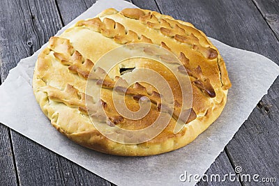 Russians traditional pastries - pies Stock Photo