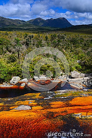 Mineral waters of Minas Gerais Stock Photo