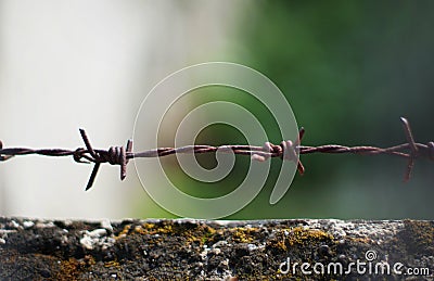 rusted barbed wire Stock Photo