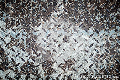 Rusted diamond steel plate background texture Stock Photo