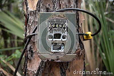 Rusted Infrared Trail Camera Stock Photo