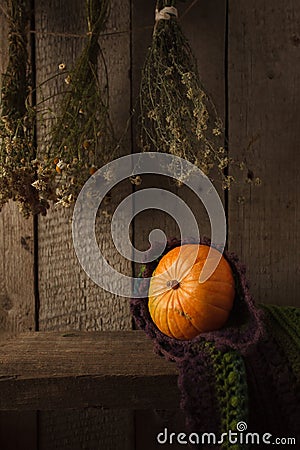 A rustic autumn still life with pumpkin, dry heral flowers and woolen scarf on a wooden surface. Thanksgiving, coutryside And Fall Stock Photo