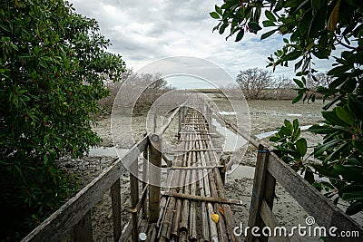 Rustic bamboo bridge near Benoa harbours Bali. It is not connect to anywhere, just a place for people who want fishing Stock Photo