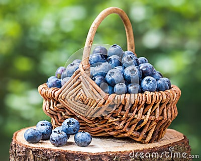 Rustic basket with ripe blueberries Stock Photo