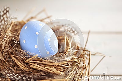 Rustic Blue Egg in the Hay Nest on the Wooden Background Stock Photo