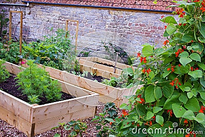 Rustic Country Vegetable & Flower Garden with Raised Beds Stock Photo