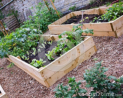 Rustic Country Vegetable & Flower Garden with Raised Beds. Stock Photo