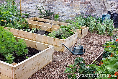 Rustic Country Vegetable & Flower Garden with Raised Beds, Spade, Watering Can & Composters Stock Photo