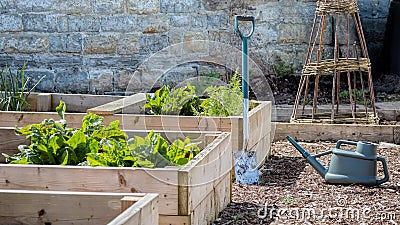 Rustic Country Vegetable & Flower Garden with Raised Beds. Spade & Watering Can Stock Photo