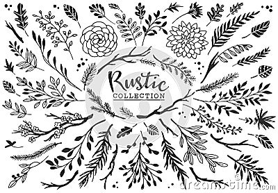 Rustic decorative plants and flowers collection. Hand drawn. Vector Illustration