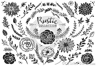 Rustic decorative plants and flowers collection. Hand drawn Vector Illustration