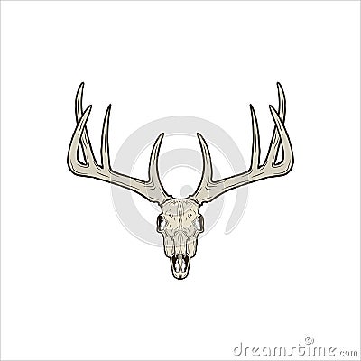 Rustic deer skull Vector Illustration