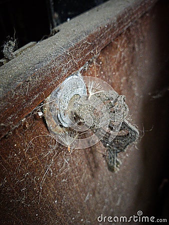 Rustic and Dirty Key Stock Photo