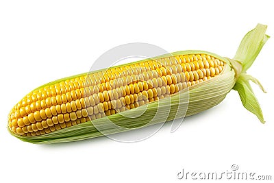 Rustic Elegance: Single Ear of Corn on White Background Stock Photo