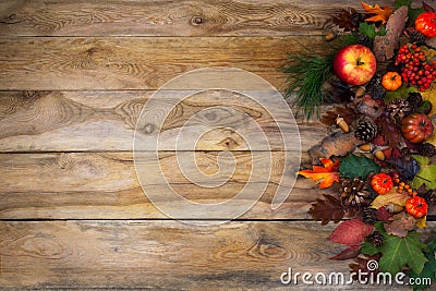 Rustic fall background with pumpkin, apples and cones Stock Photo