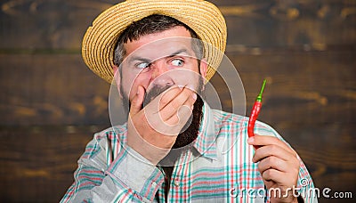 Rustic farmer in straw hat likes spicy taste. Man hold pepper harvest. Farmer presenting hot chilli pepper wooden Stock Photo