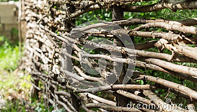 Rustic fence of interwoven twigs Stock Photo