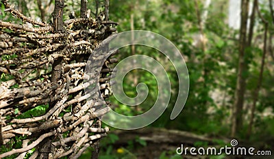 Rustic fence of interwoven twigs Stock Photo