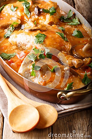 Rustic french food: chasseur chicken with wild mushrooms, onions Stock Photo