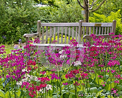 Rustic garden bench Stock Photo