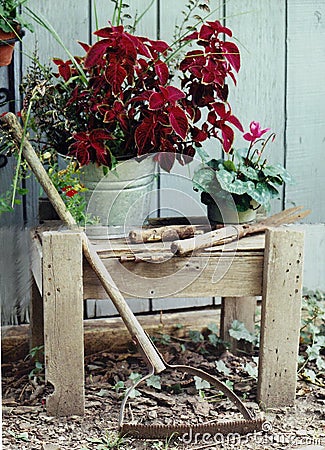 Rustic garden bench Stock Photo