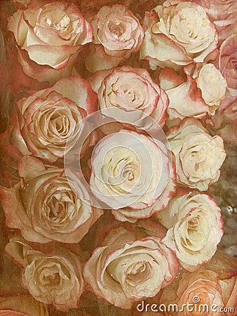 Rustic grungy antique photo of floral rose bouquet Stock Photo