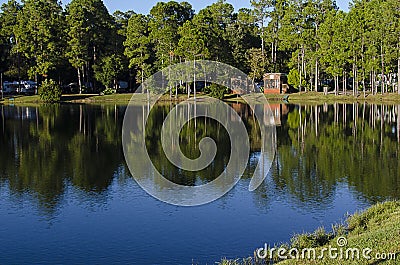 Rustic Lake Cabins in Florida Stock Photo