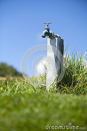 Rustic outdoor water spigot in grass field in California Stock Photo