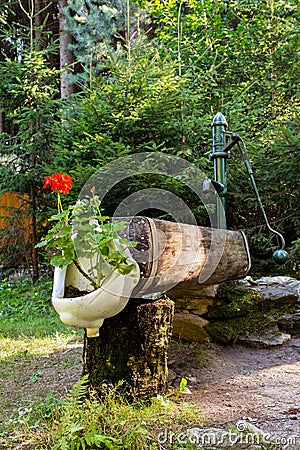 Rustic rural water pump with flowers Stock Photo