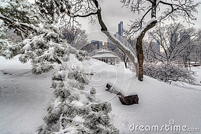 Rustic Shelter after snow storm Stock Photo