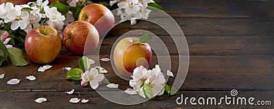 Rustic spring banner with blossom and fruit Stock Photo