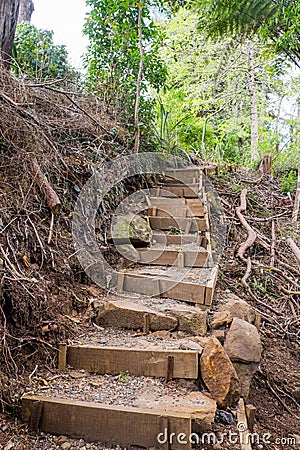 Rustic stairs with steep steps on walking trail to Wairoa Stream Stock Photo