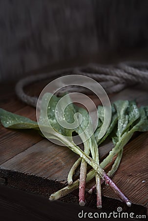 Rustic style. Wild garlic on the wooden table. Stock Photo