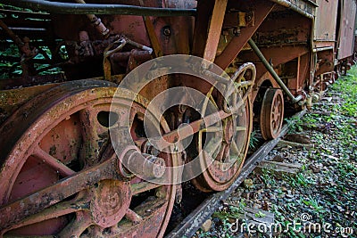 Rustic train in jungle Stock Photo