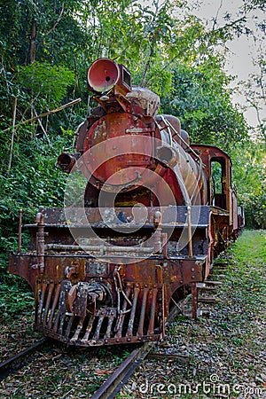 Rustic train in jungle Stock Photo